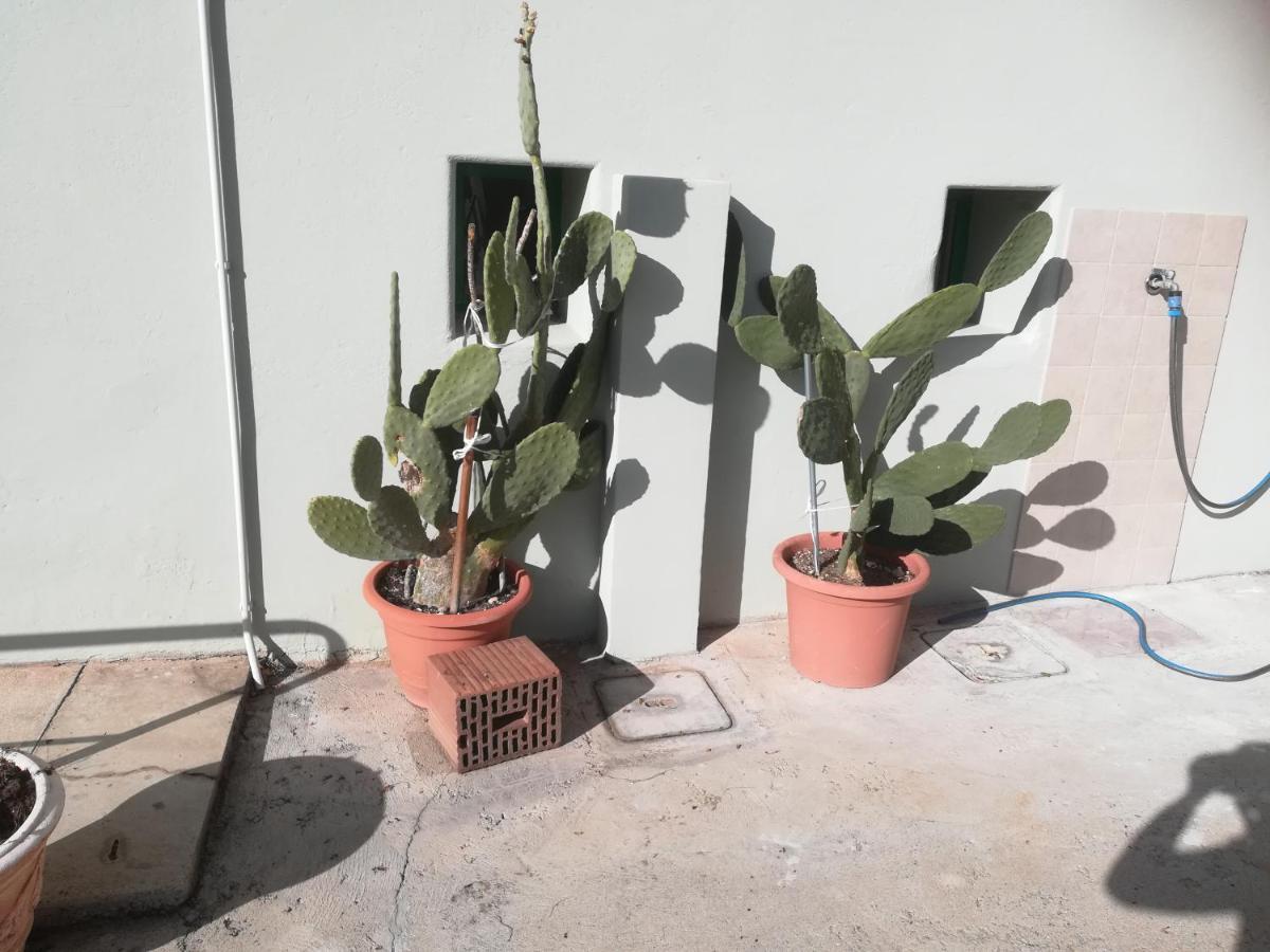 Gorizia Vacanze Appartamento In Villa Con Parcheggio Exterior foto